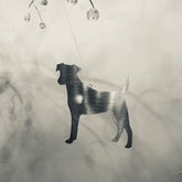 Ophæng med Fox Terrier